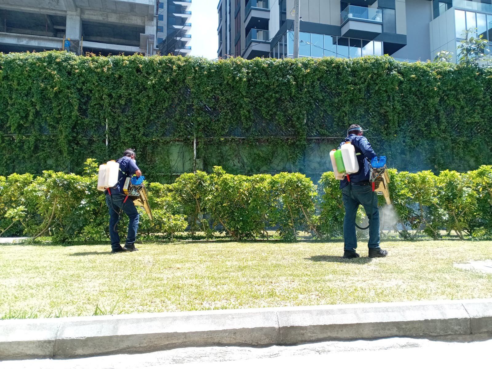 Equipo de BioPest realizando control de plagas en un residencial de la Ciudad de Guatemala